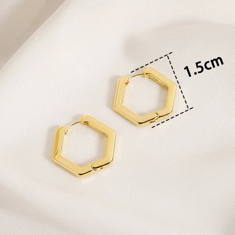 Trendy High-quality Twisted Hoop Earrings  Ear Rings for Women Silver Color Designer Jewelry New Arrival 2022