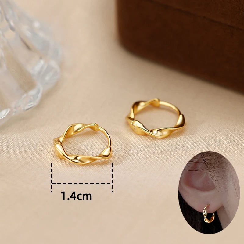 Trendy High-quality Twisted Hoop Earrings  Ear Rings for Women Silver Color Designer Jewelry New Arrival 2022