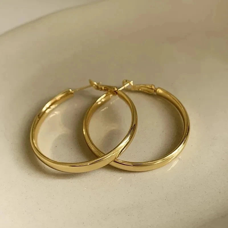 Metal Punk Style Oversized Large Hoop Earrings Twisted Big Circle Round Loop Earrings for Women Exaggerate Party Jewelry Gifts