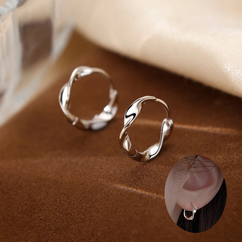 Trendy High-quality Twisted Hoop Earrings  Ear Rings for Women Silver Color Designer Jewelry New Arrival 2022