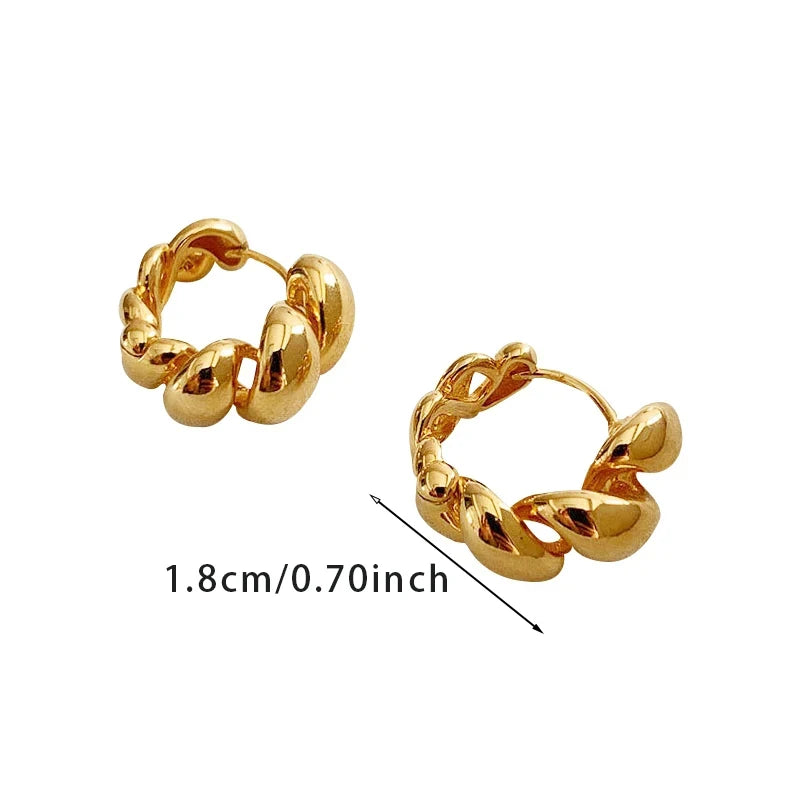 Trendy High-quality Twisted Hoop Earrings  Ear Rings for Women Silver Color Designer Jewelry New Arrival 2022