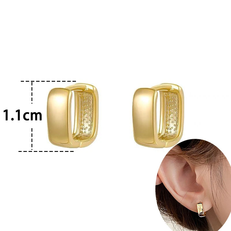 Trendy High-quality Twisted Hoop Earrings  Ear Rings for Women Silver Color Designer Jewelry New Arrival 2022