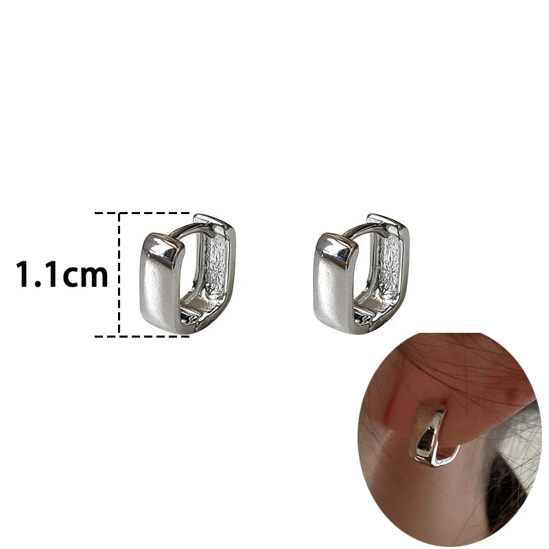 Trendy High-quality Twisted Hoop Earrings  Ear Rings for Women Silver Color Designer Jewelry New Arrival 2022