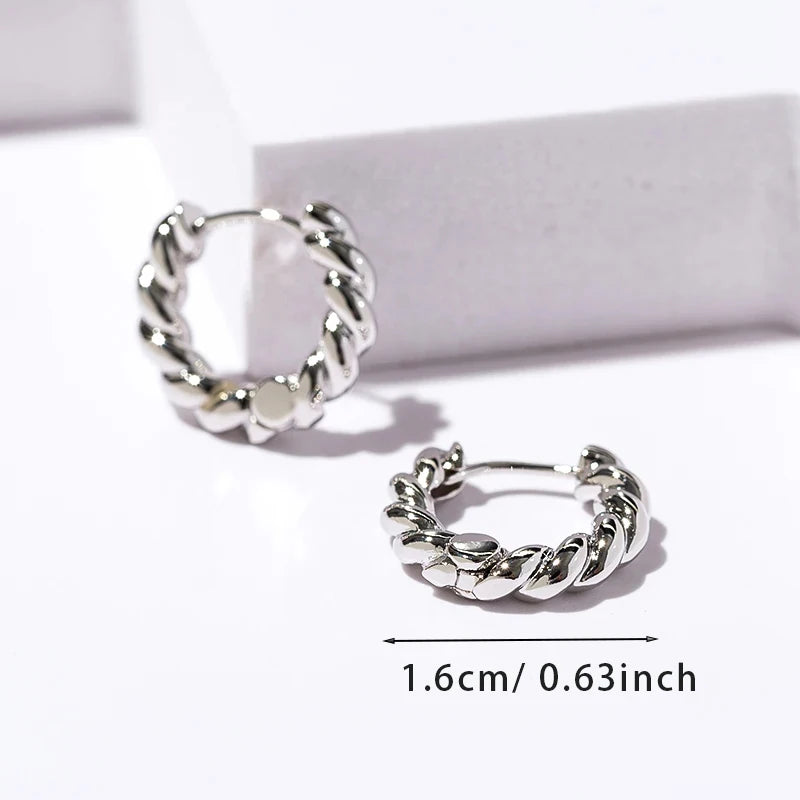 Trendy High-quality Twisted Hoop Earrings  Ear Rings for Women Silver Color Designer Jewelry New Arrival 2022