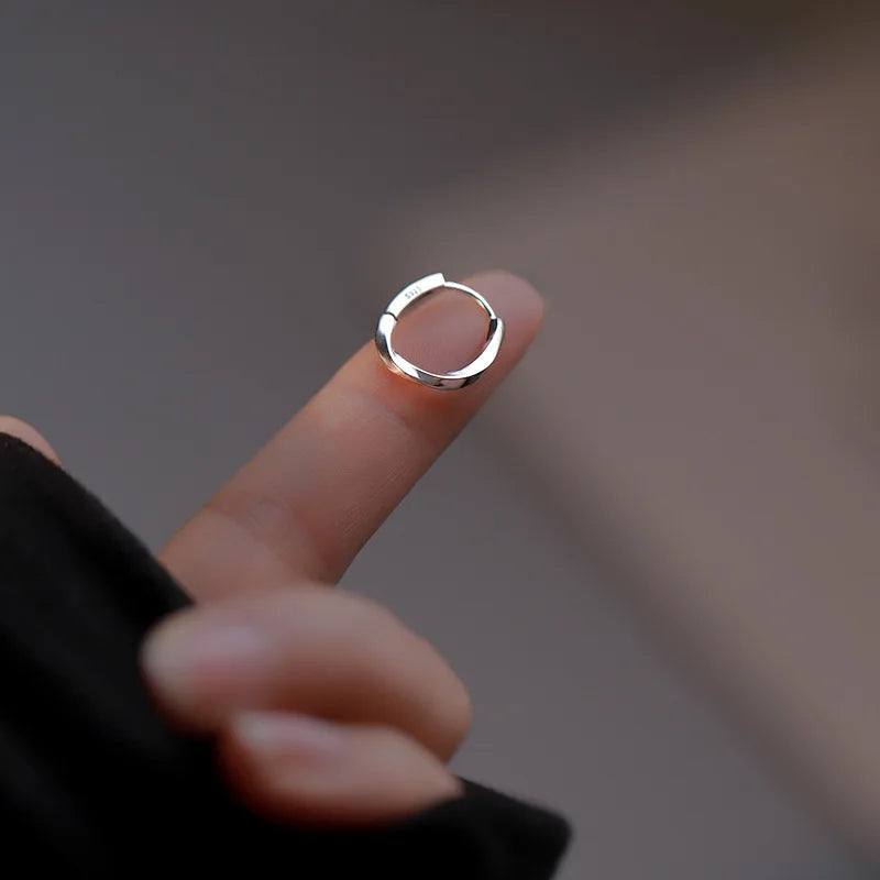 Trendy High-quality Twisted Hoop Earrings  Ear Rings for Women Silver Color Designer Jewelry New Arrival 2022