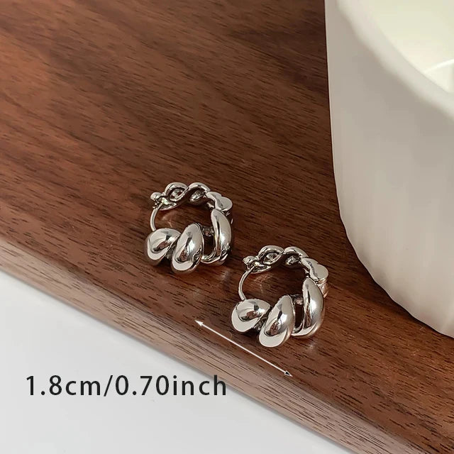 Trendy High-quality Twisted Hoop Earrings  Ear Rings for Women Silver Color Designer Jewelry New Arrival 2022