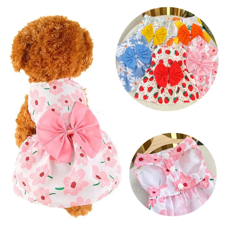 Dog Princess Dress Spring Summer Kitten Pet Skirt Cute Dog Dress Bow Lace for Small Medium Puppy Poodle Chihuahua