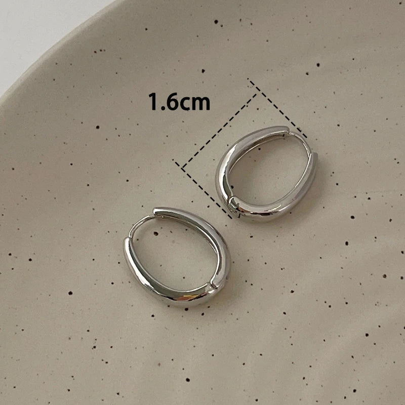 Trendy High-quality Twisted Hoop Earrings  Ear Rings for Women Silver Color Designer Jewelry New Arrival 2022