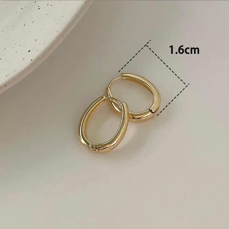 Trendy High-quality Twisted Hoop Earrings  Ear Rings for Women Silver Color Designer Jewelry New Arrival 2022